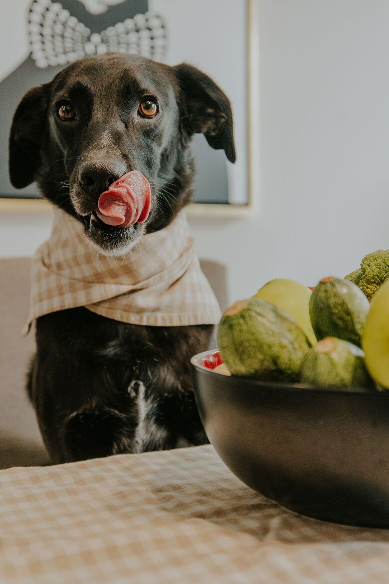 A dog sitting beside a bowl of fresh food